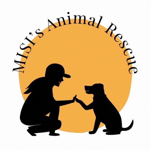 MISIs Animal Rescue